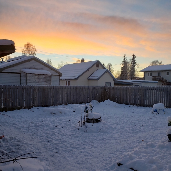 Meet your posher 💞 - Picture 2 of 4